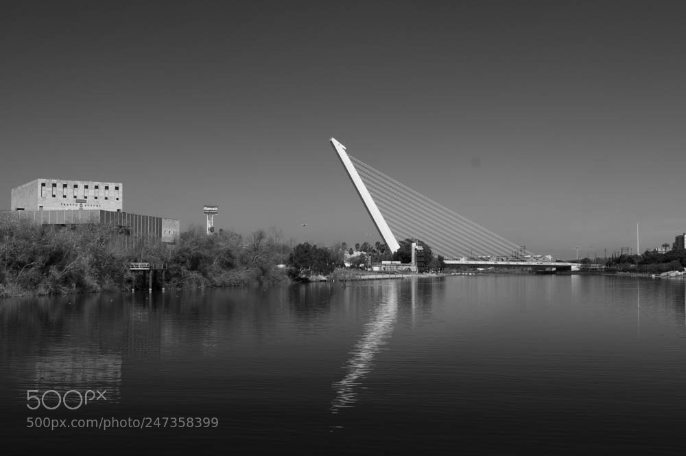 Nikon D300 sample photo. Guadalquivir photography