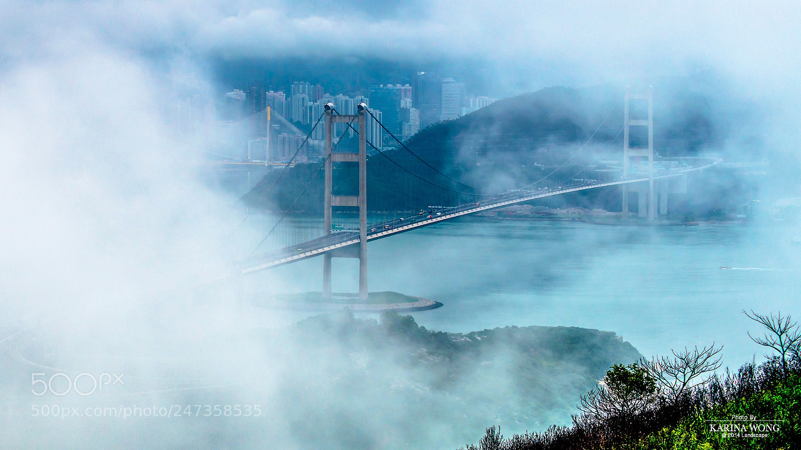Nikon D800E sample photo. Foggy day photography