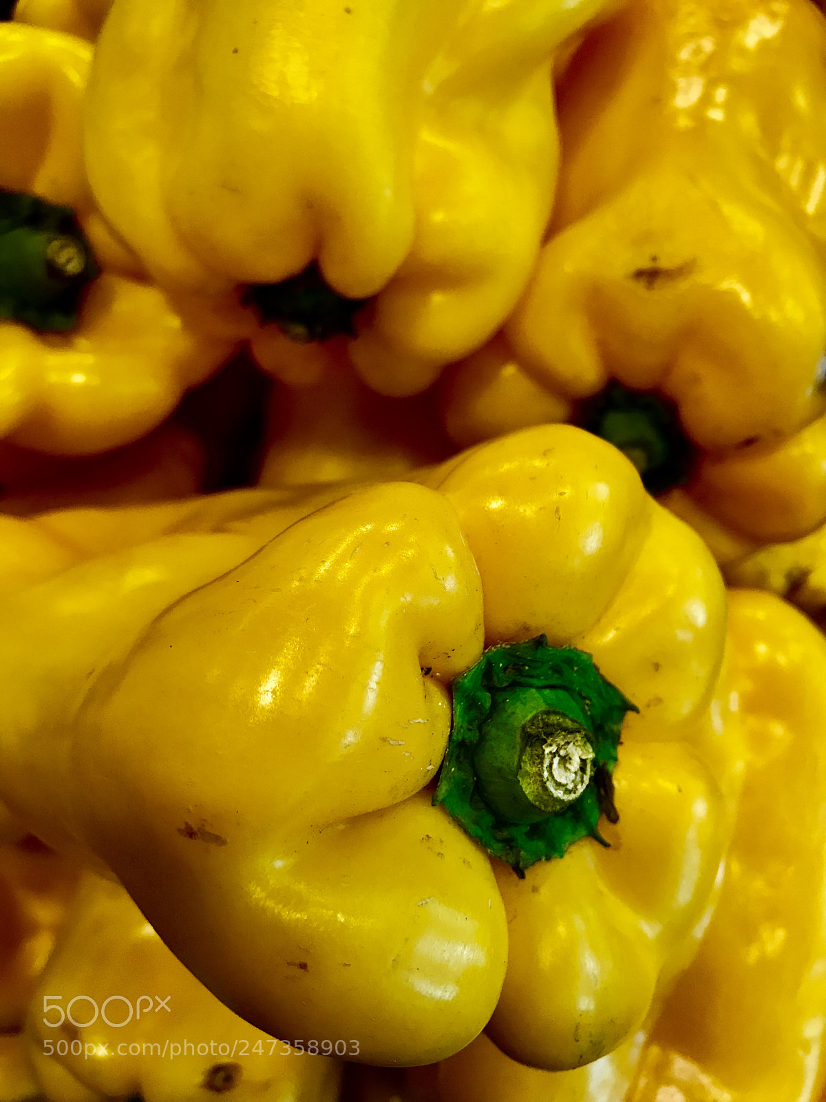 Apple iPhone 7 Plus sample photo. Yellow photography