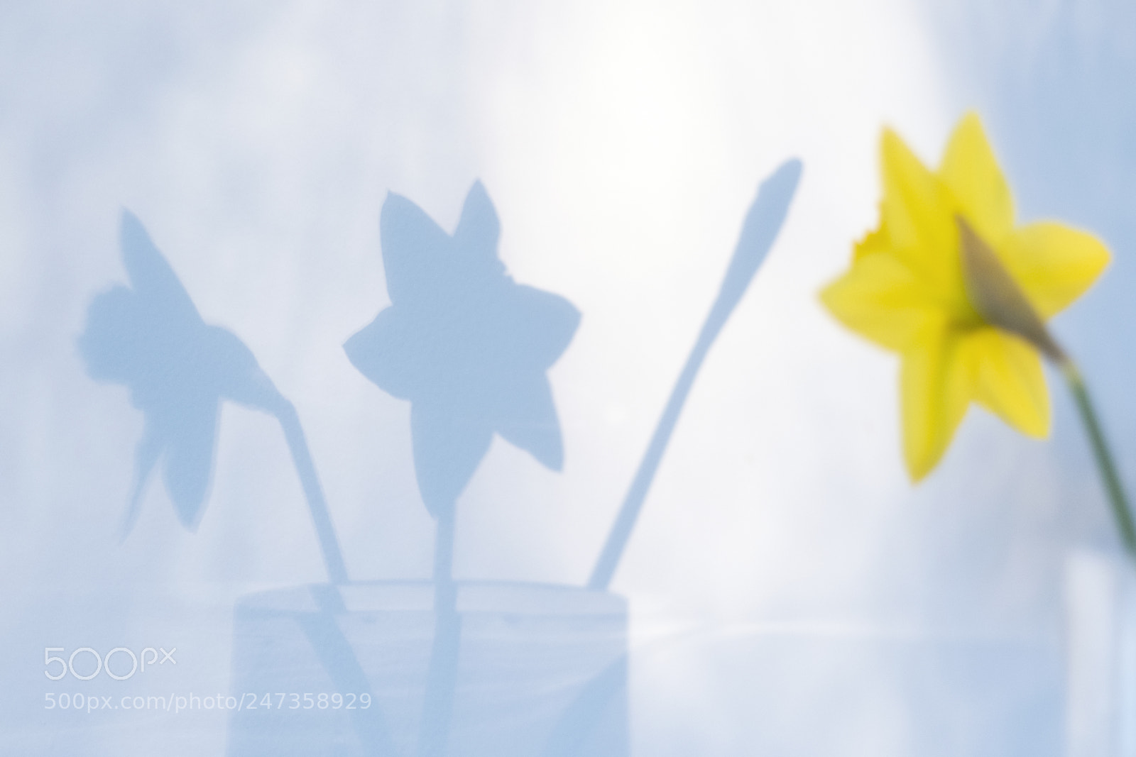 Fujifilm X-T2 sample photo. Untitled photography