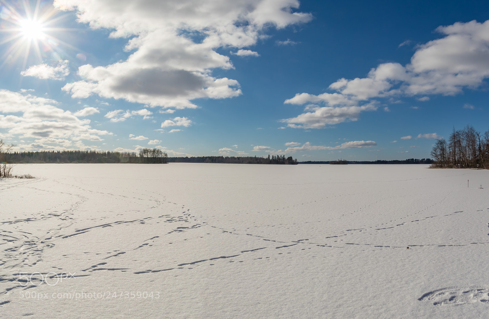 Canon EOS 80D sample photo. Winter by a lake photography
