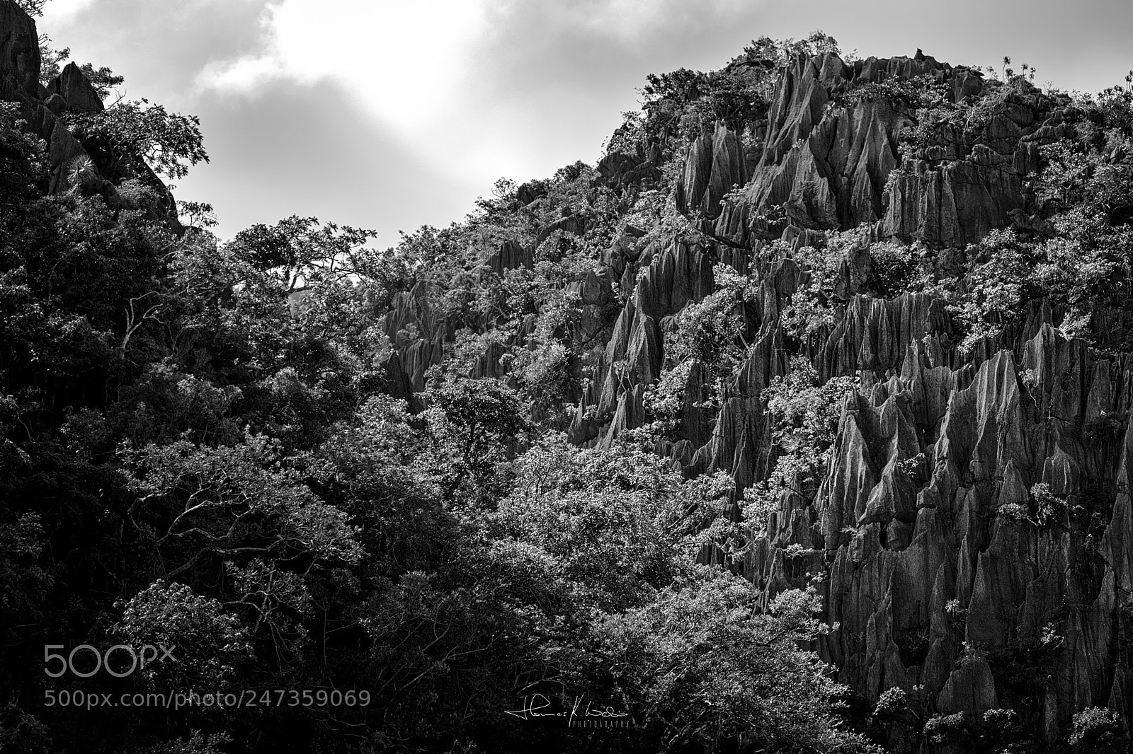 Canon EOS 5DS R sample photo. Incredible form of nature photography