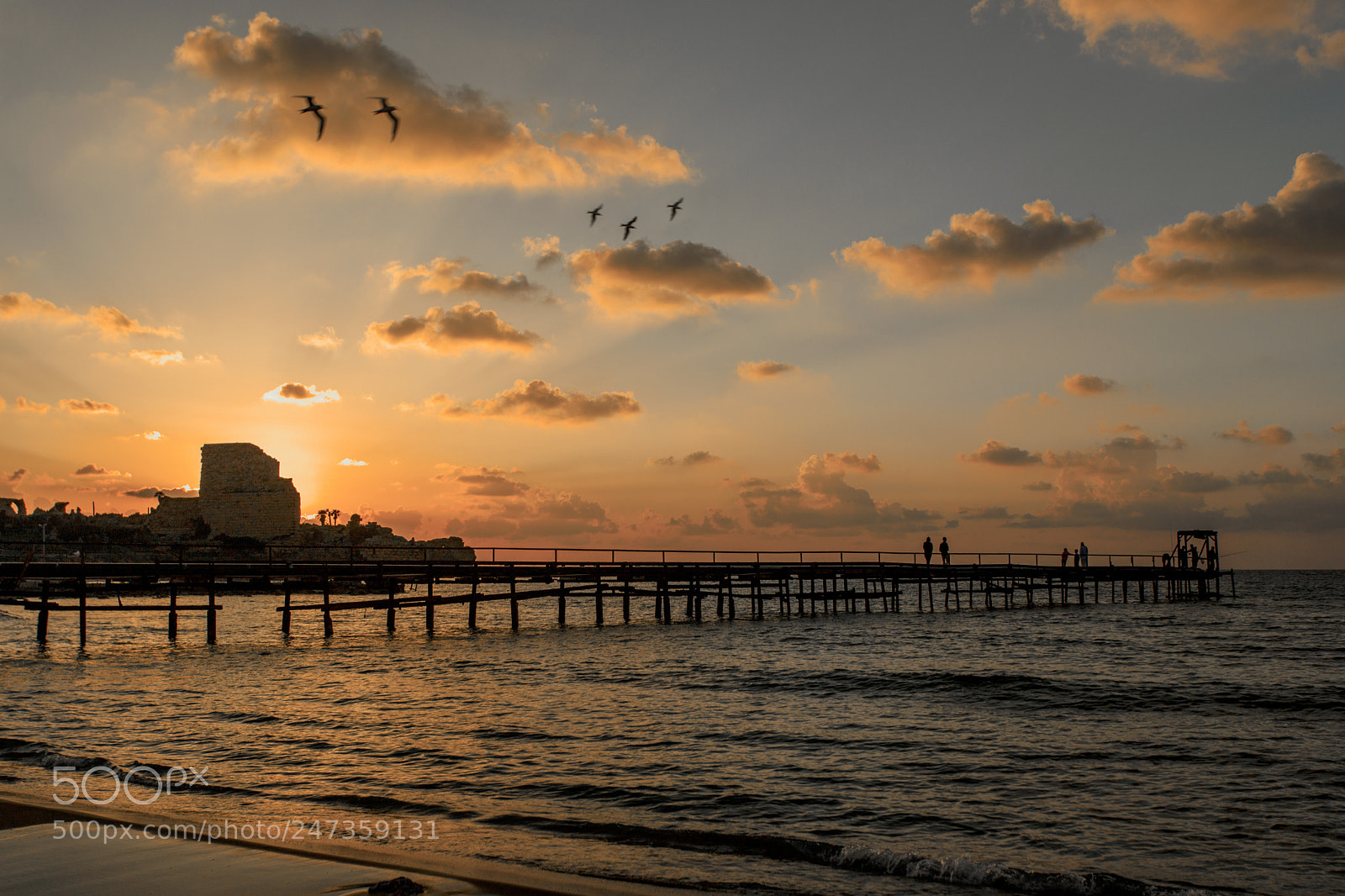 Canon EOS 6D Mark II sample photo. Aaa photography