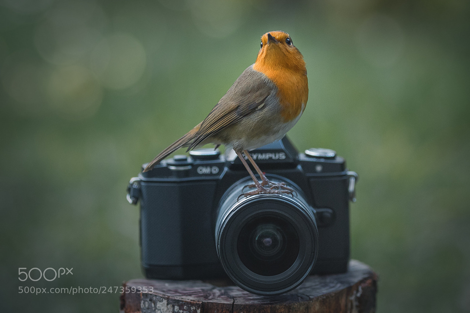 Canon EOS 7D Mark II sample photo. Say cheese! photography