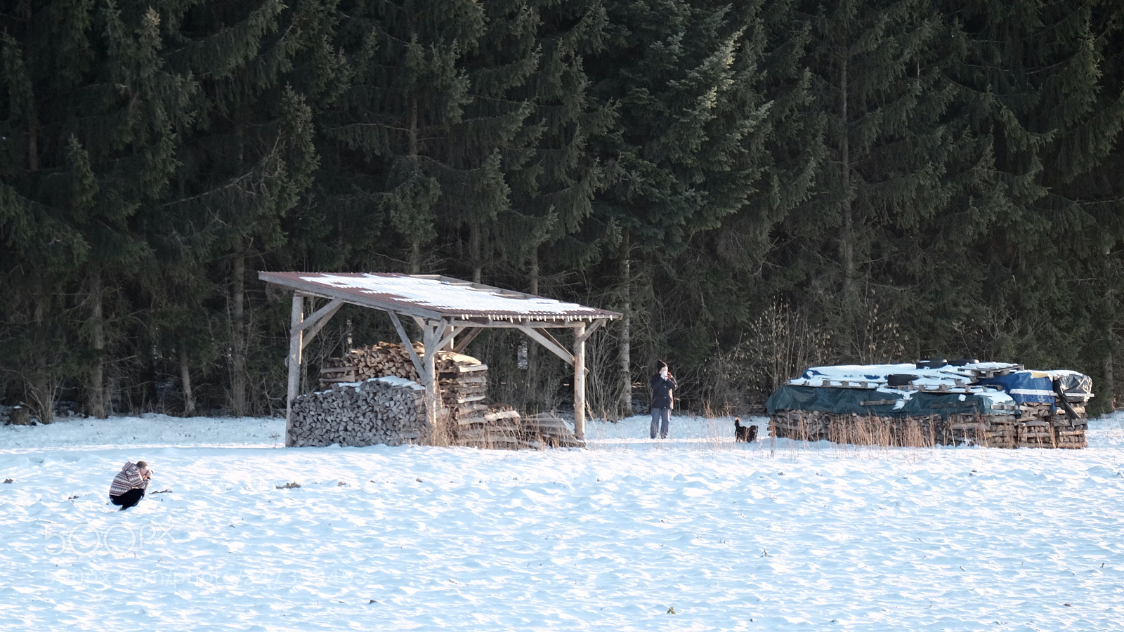 Fujifilm X-T1 sample photo. Untitled photography