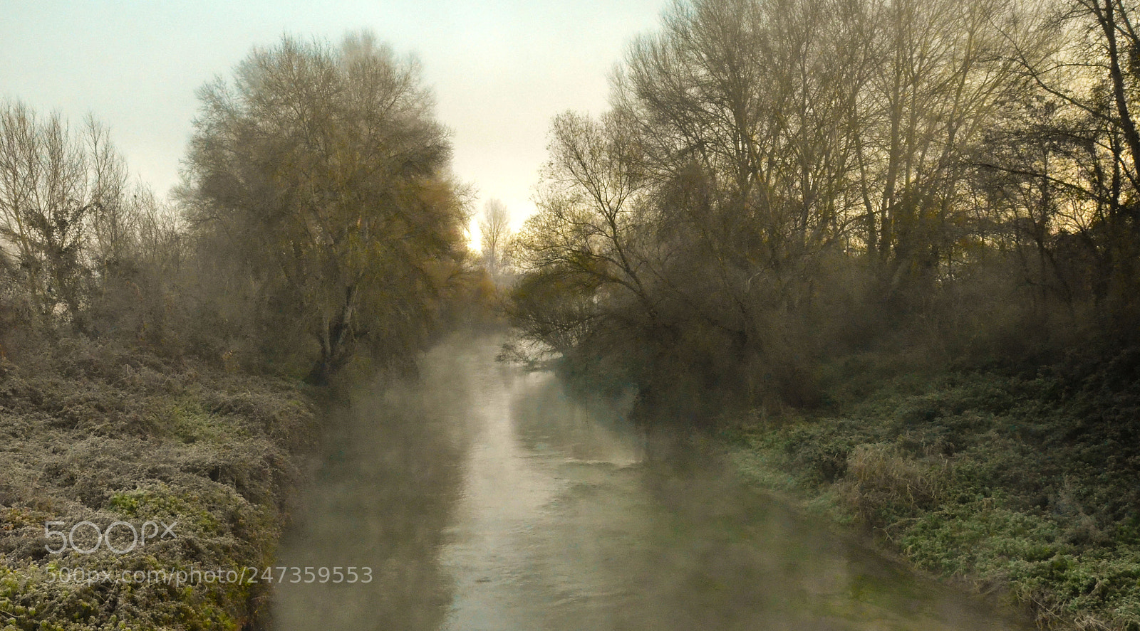 Nikon D5100 sample photo. Fiume nera in una photography