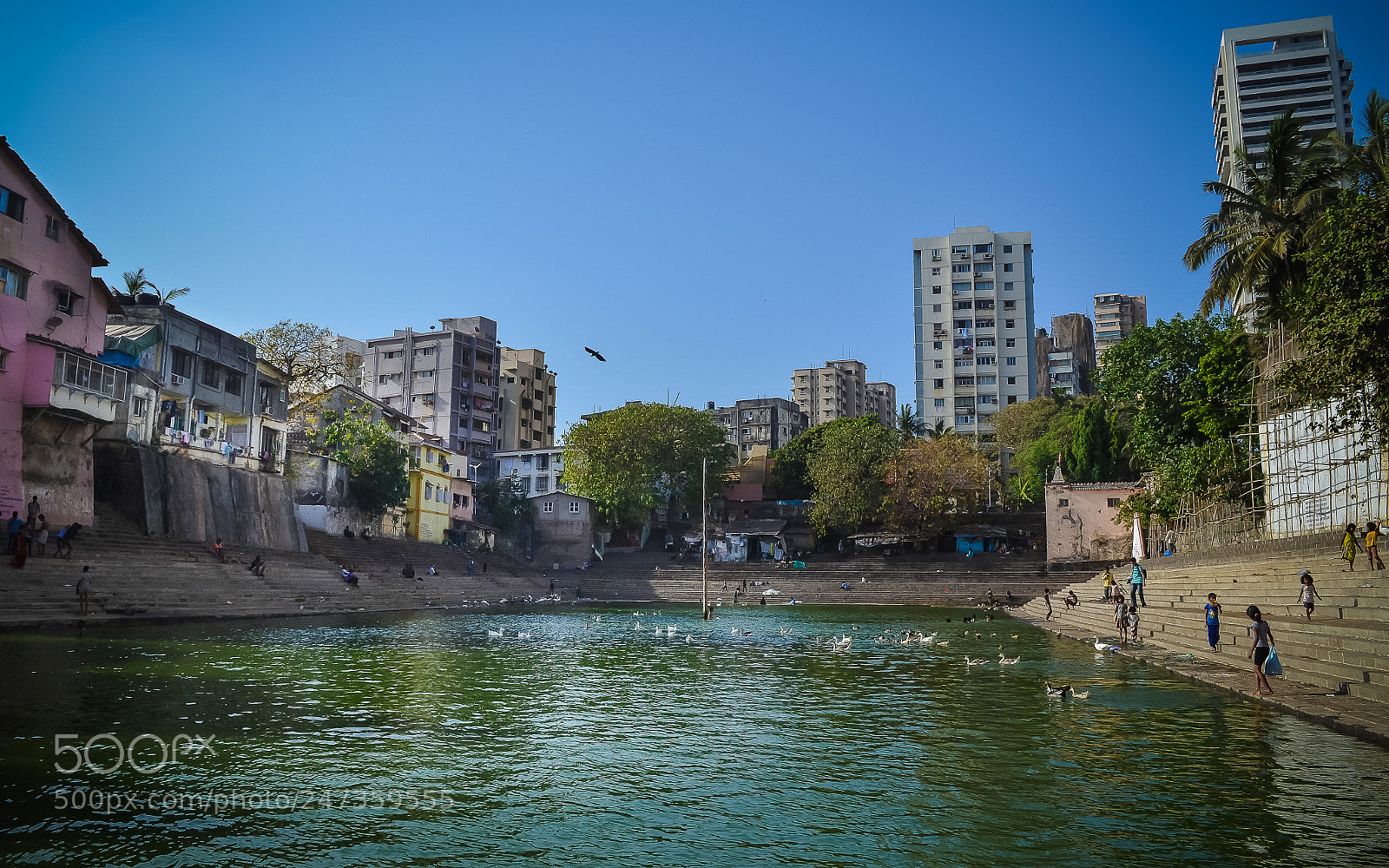 Nikon D5100 sample photo. Green water photography