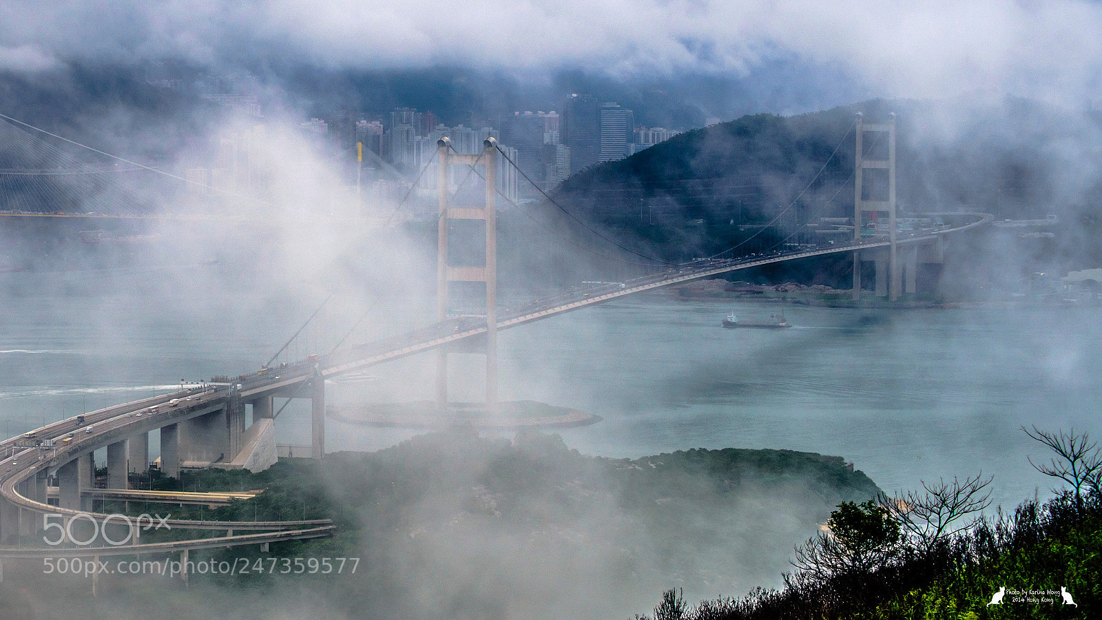 Nikon D800E sample photo. Foggy moment photography