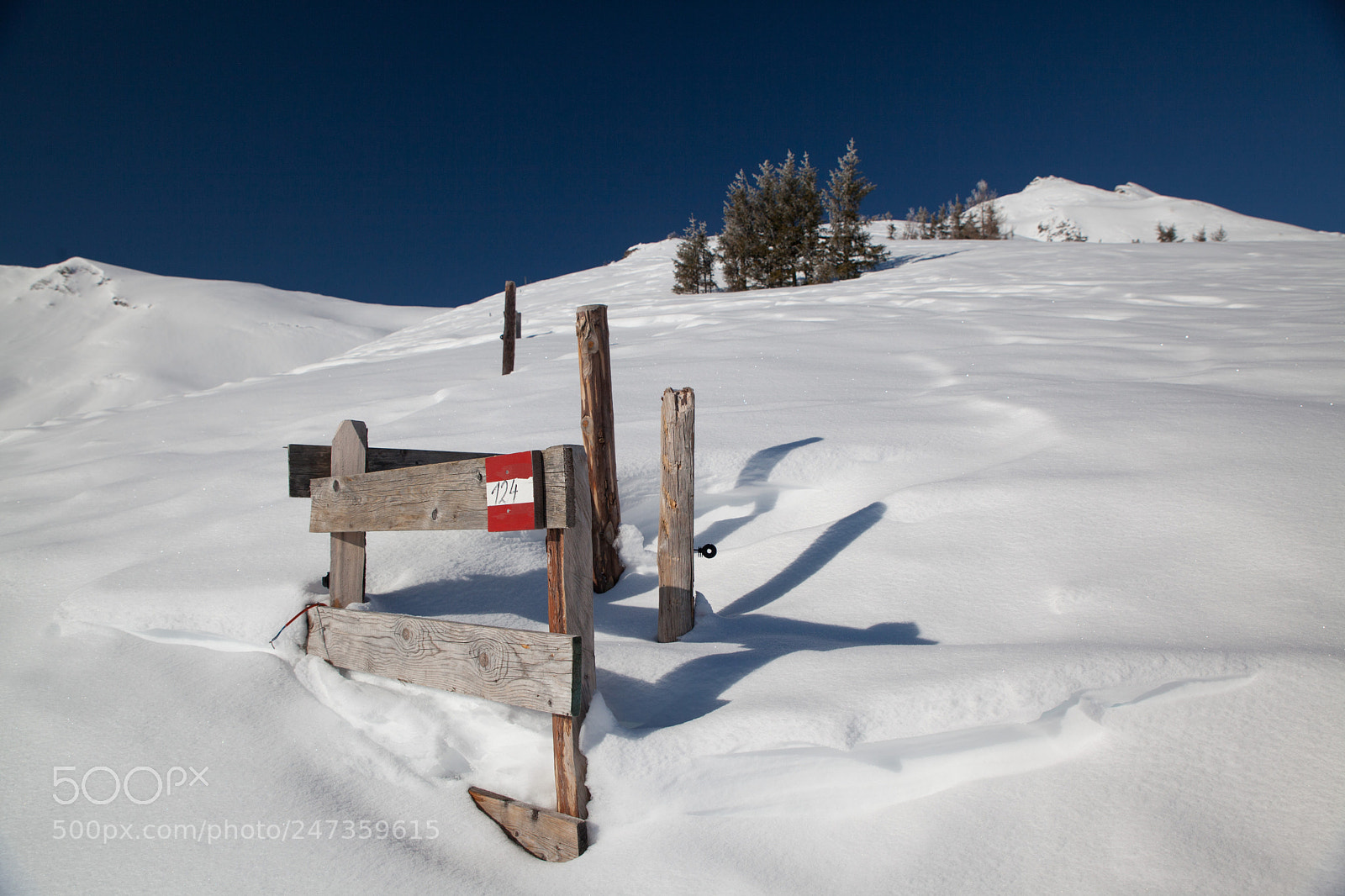 Canon EOS 5D Mark II sample photo. Just snow photography