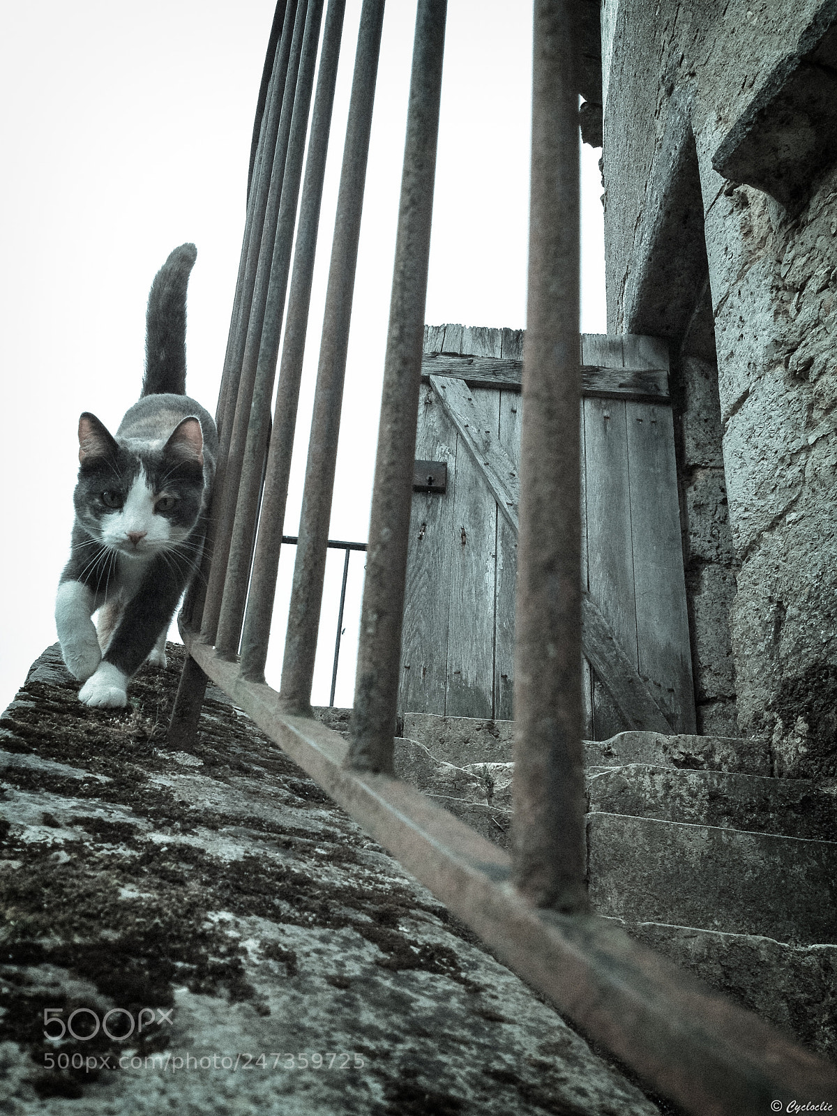 Apple iPhone 4S sample photo. La rencontre photography