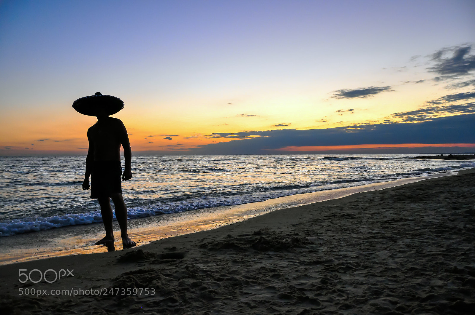 Nikon D90 sample photo. Silhouette at sunset photography