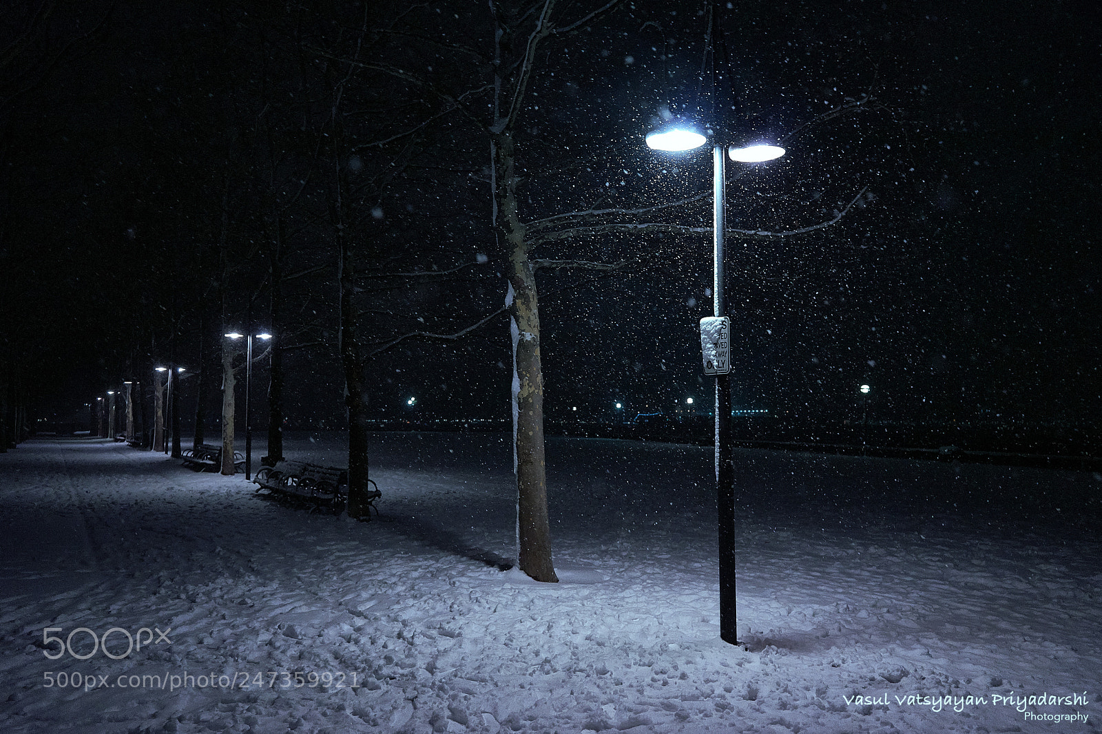 Sony a7 II sample photo. First snow picture photography