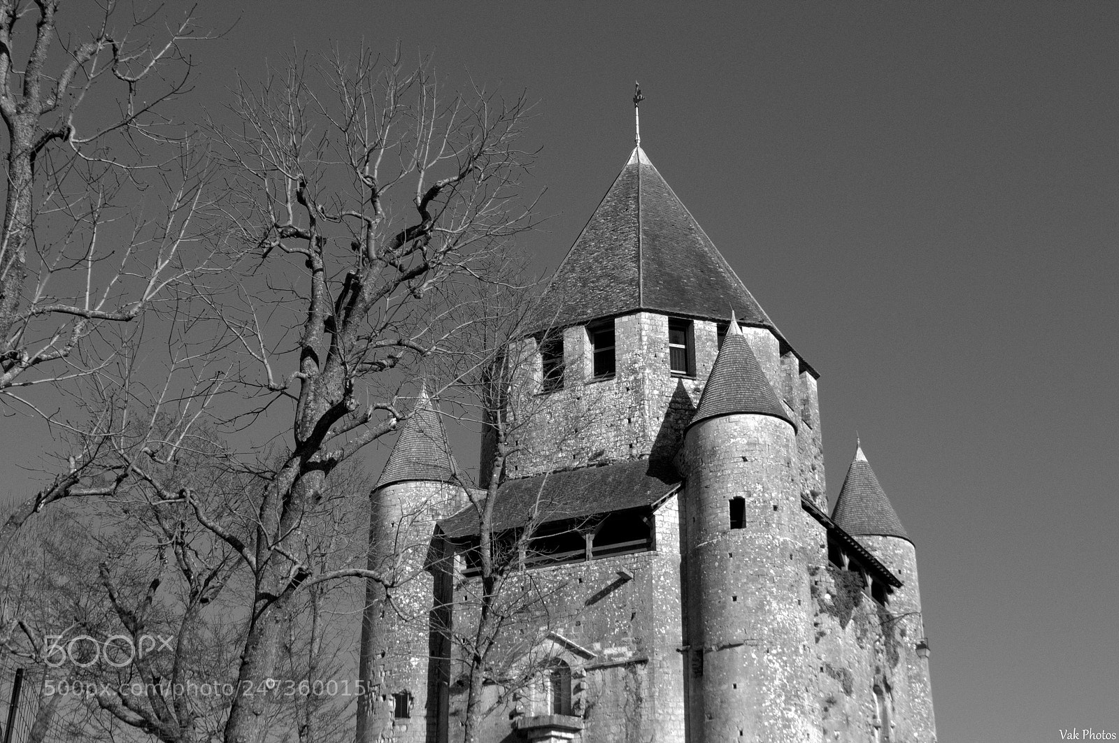 Nikon D3100 sample photo. Provins, france photography