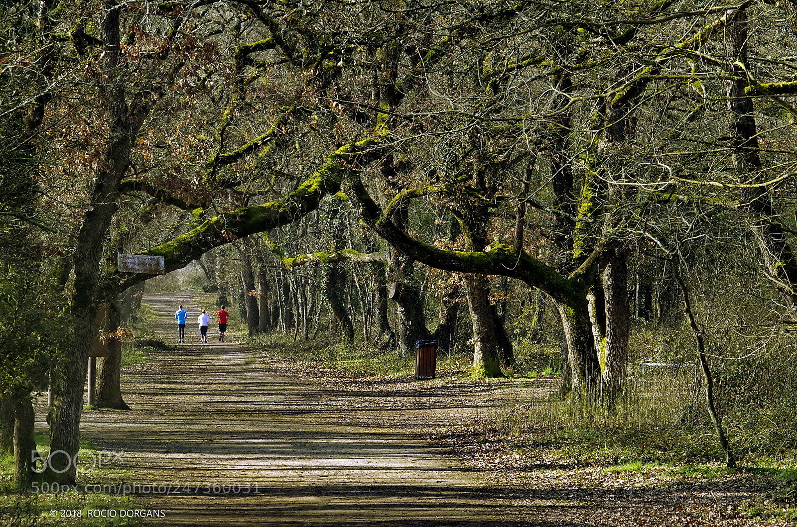 Pentax K-30 sample photo. Brioude photography