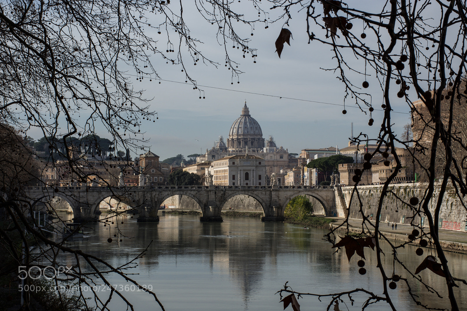 Nikon D7100 sample photo. Roma vaticano photography