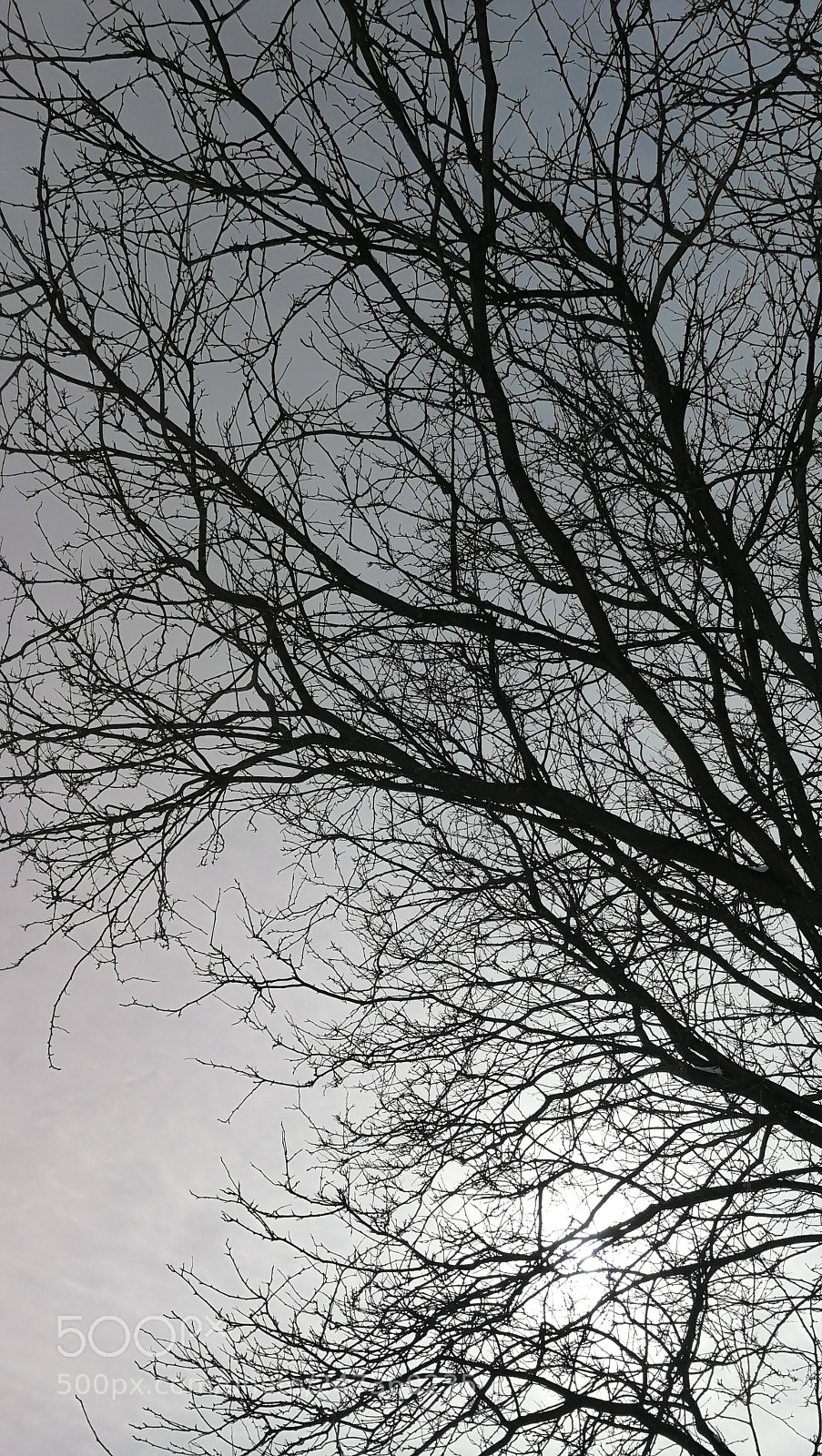 HUAWEI P10 sample photo. Dark strikes in white photography