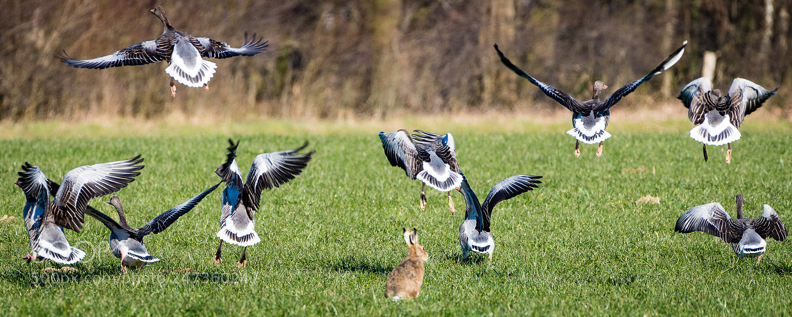 Nikon D810 sample photo. Hallo, ich will doch photography
