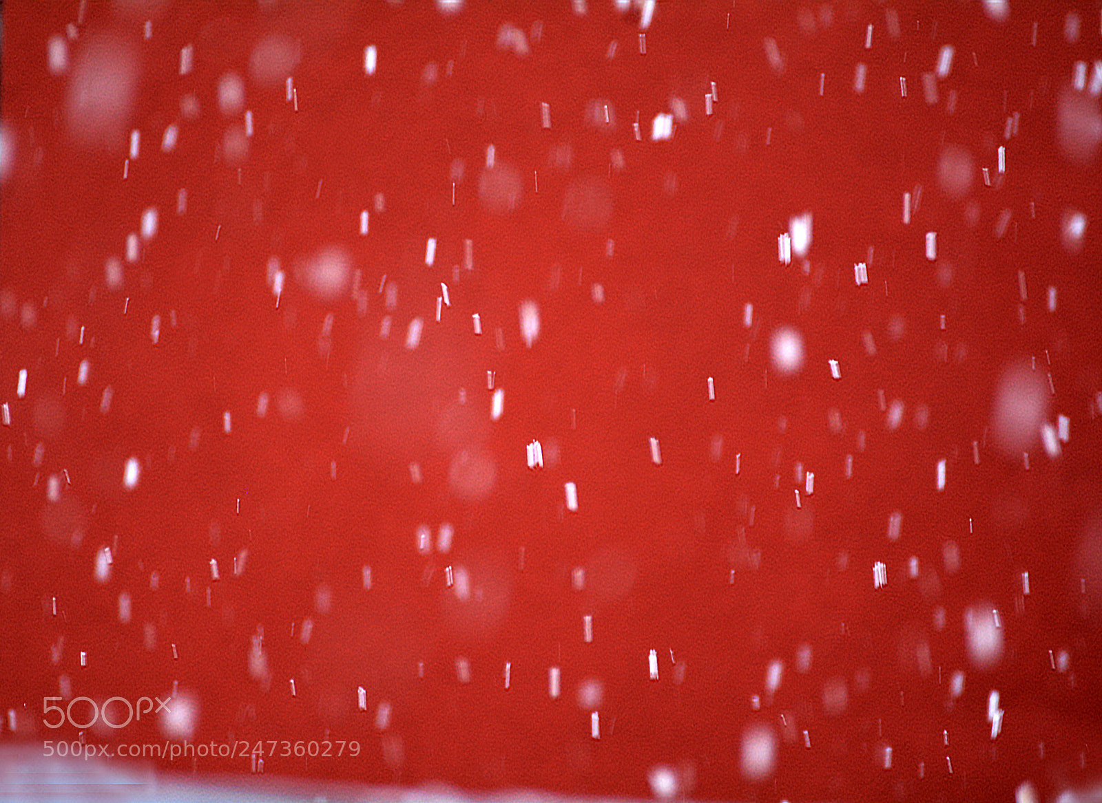 Nikon D7100 sample photo. Red snow photography