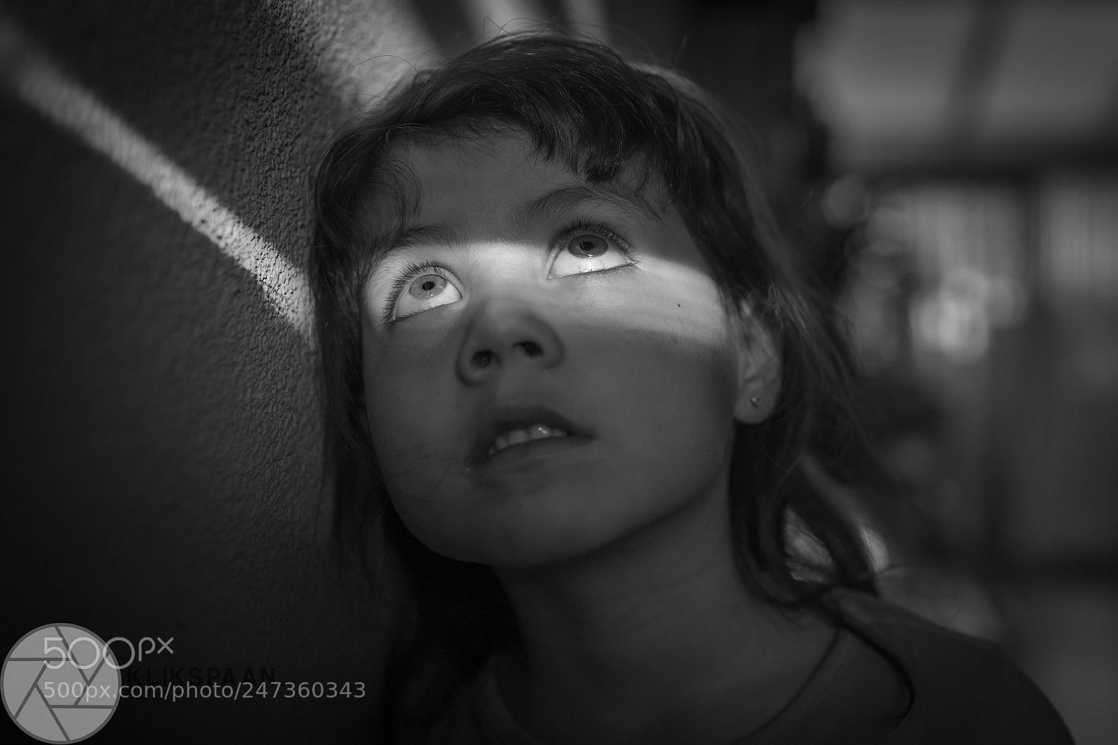 Canon EOS 6D Mark II sample photo. Untitled photography