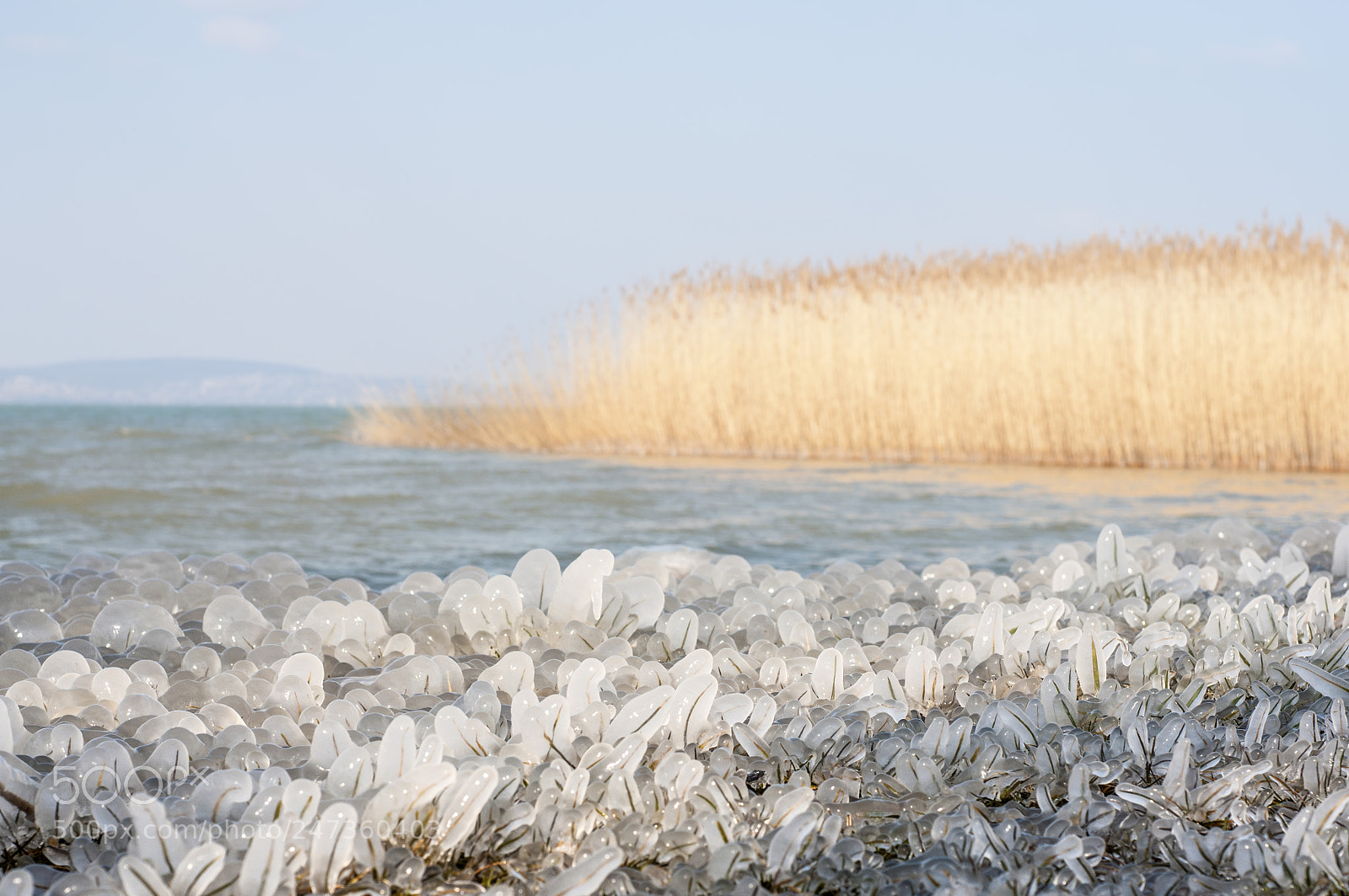 Nikon D90 sample photo. Ice photography