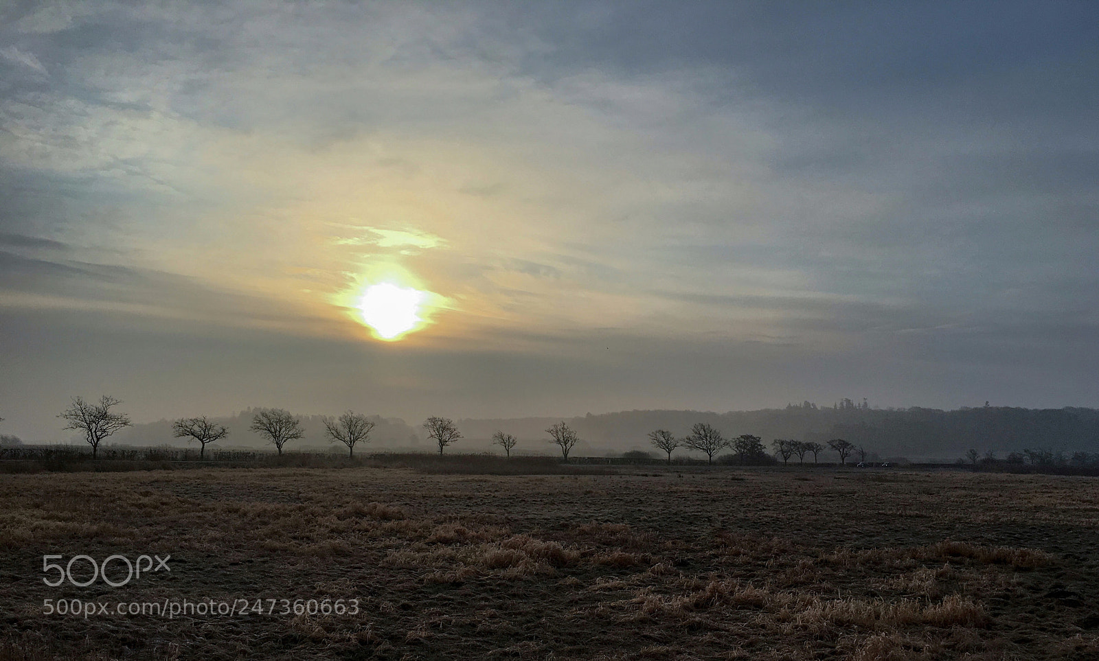 Apple iPhone 6s sample photo. Another beautiful morning photography
