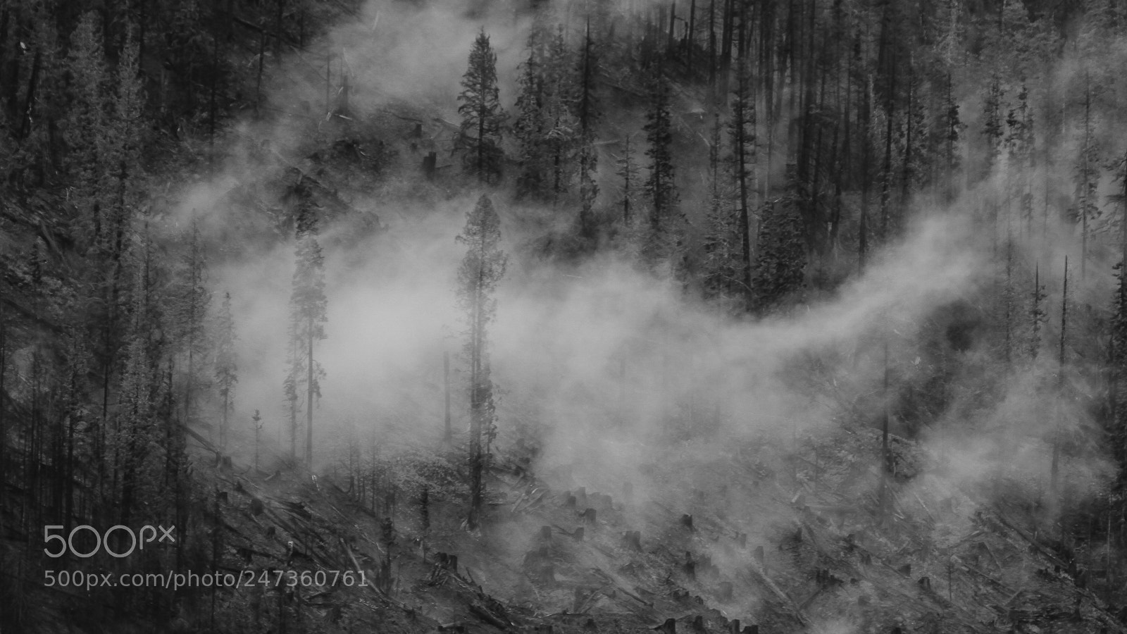 Canon EOS 7D sample photo. Wildfire photography