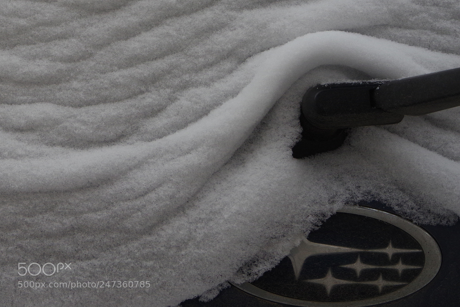 Pentax K-1 sample photo. Angry forester photography