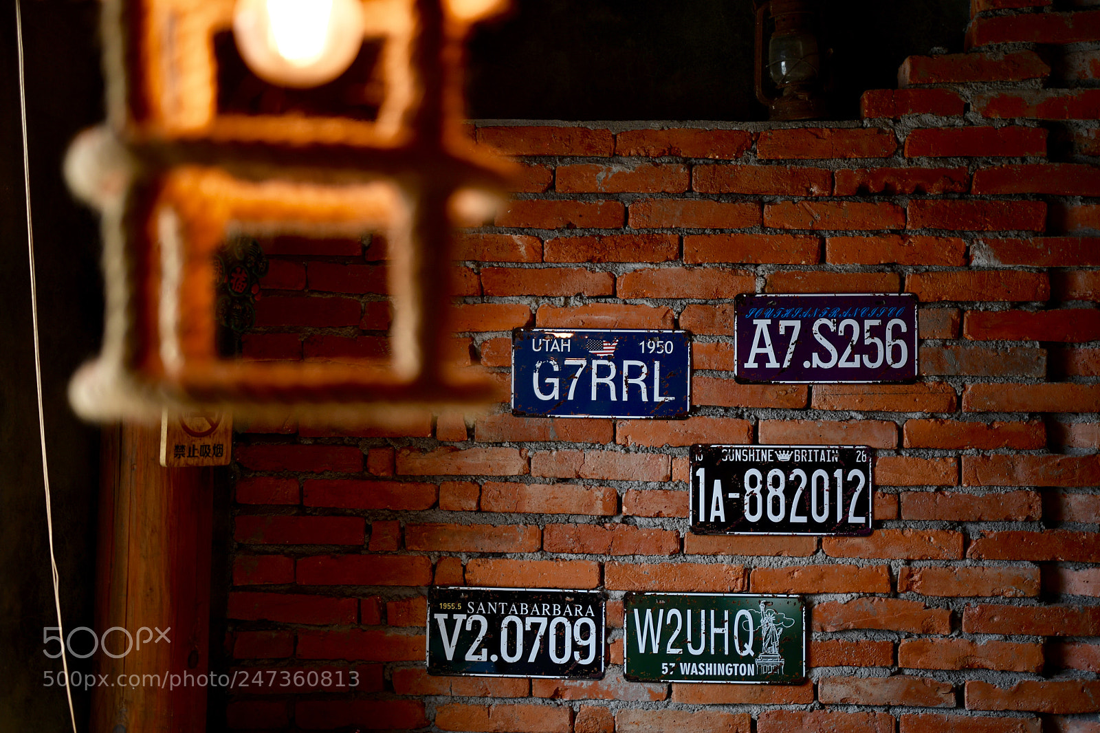 Nikon D500 sample photo. Untitled photography