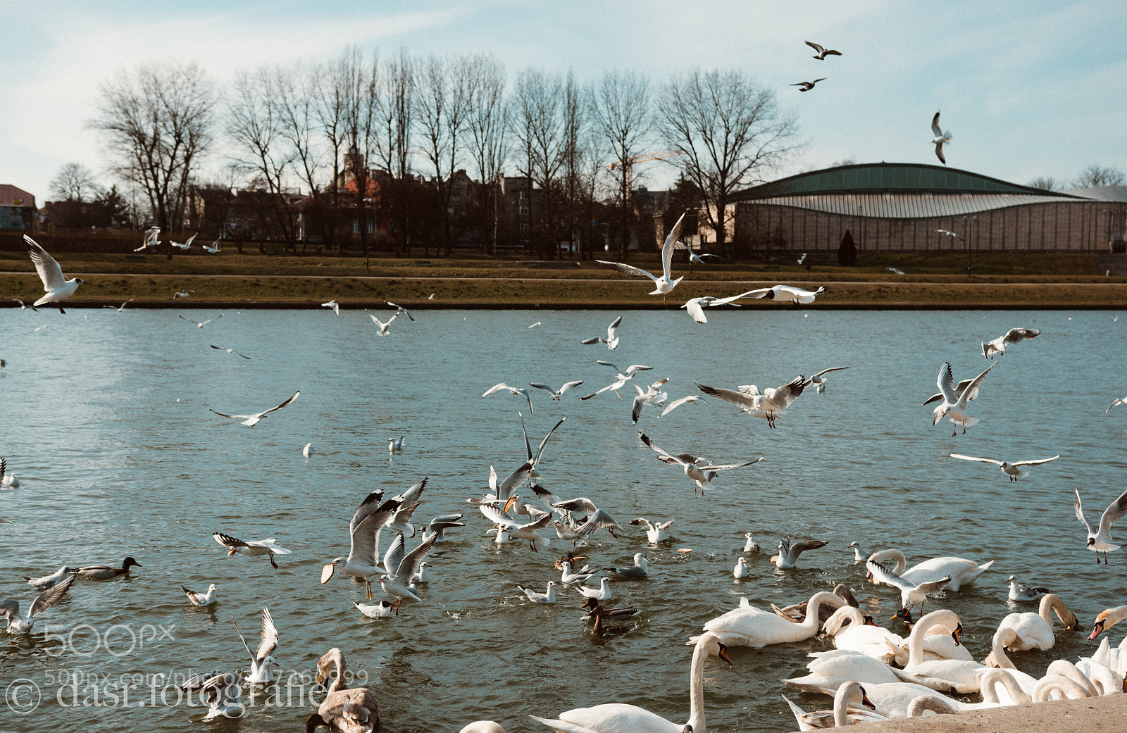 Nikon D5500 sample photo. Different view photography