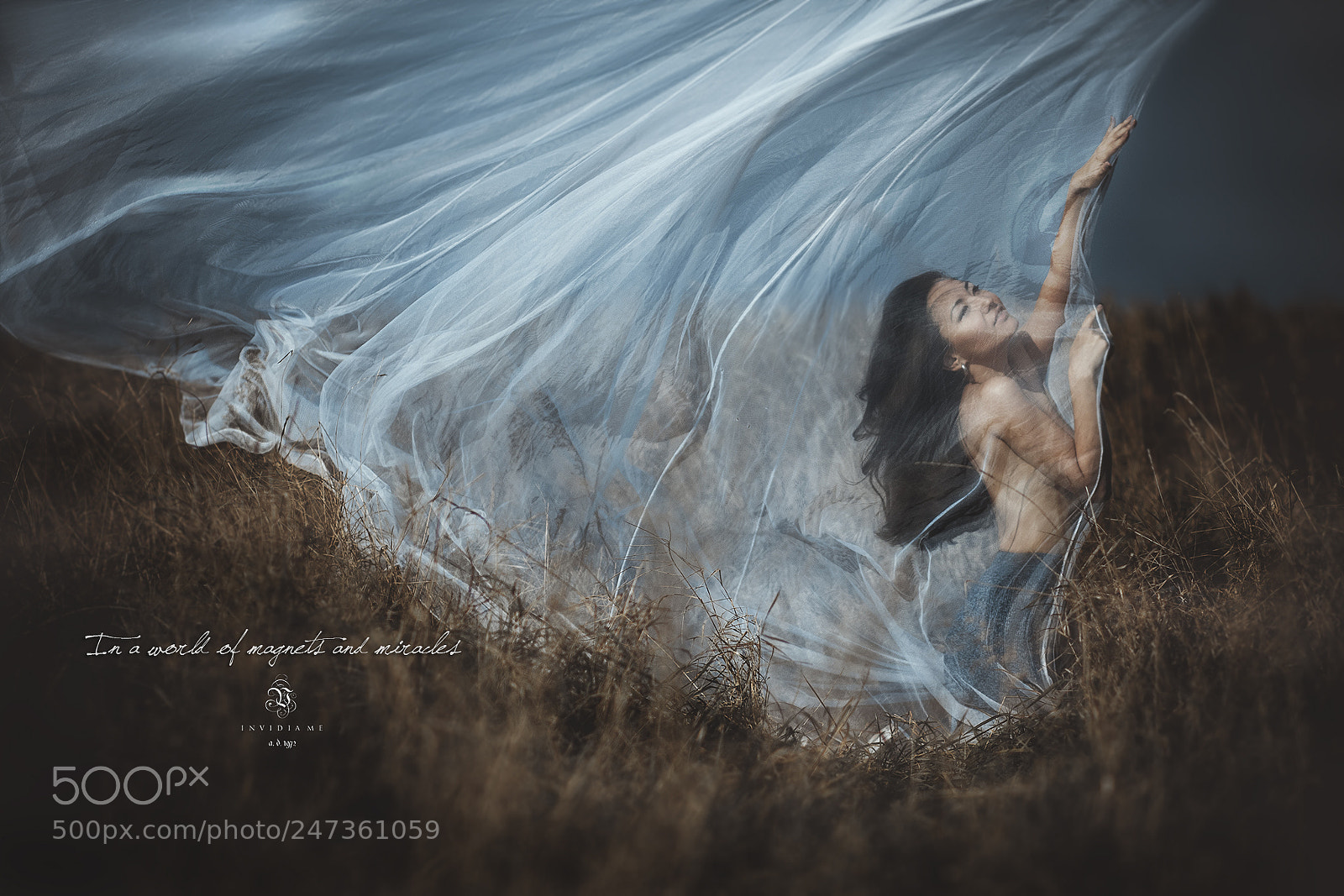 Canon EOS 7D Mark II sample photo. Alfiya photography
