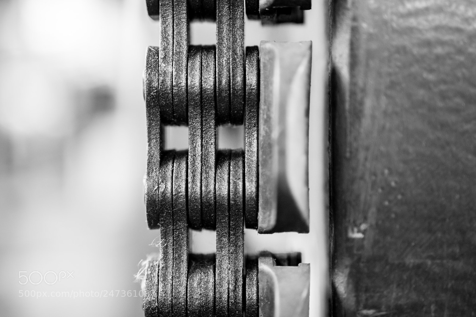 Nikon D7200 sample photo. Chained photography