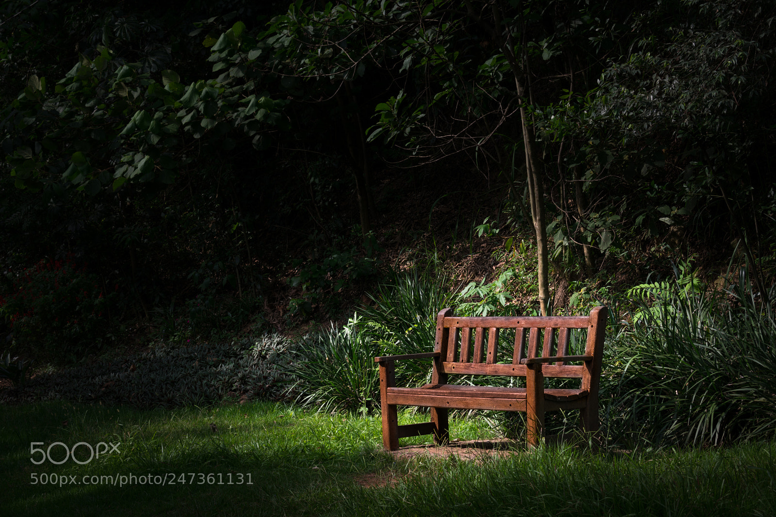 Nikon D3400 sample photo. Park bench photography