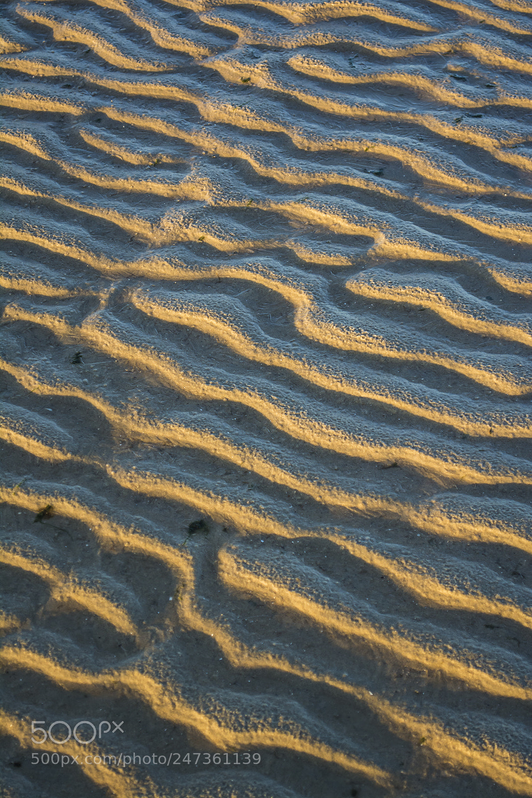 Nikon D5200 sample photo. Frozen sand photography