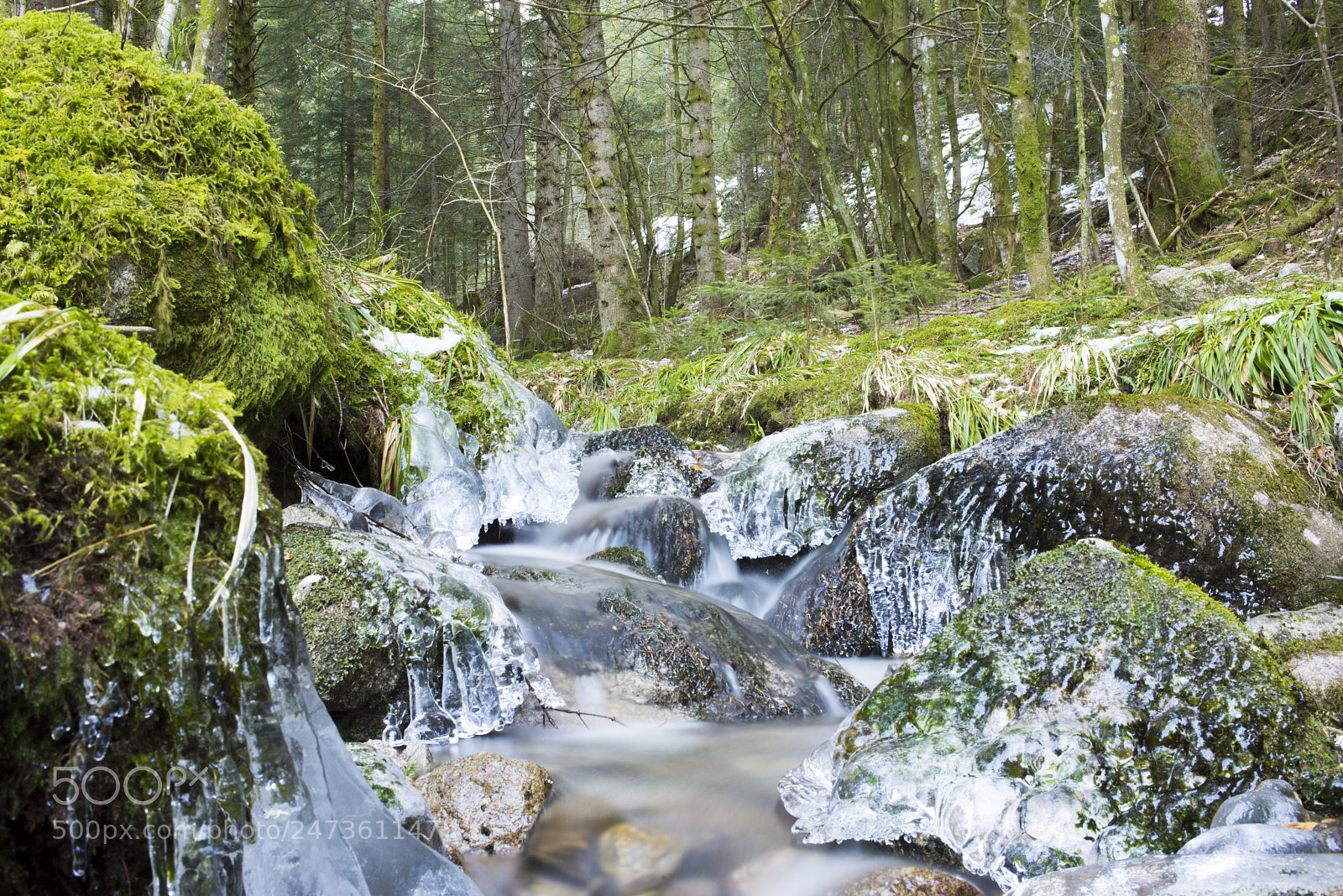 Nikon D610 sample photo. A creek photography
