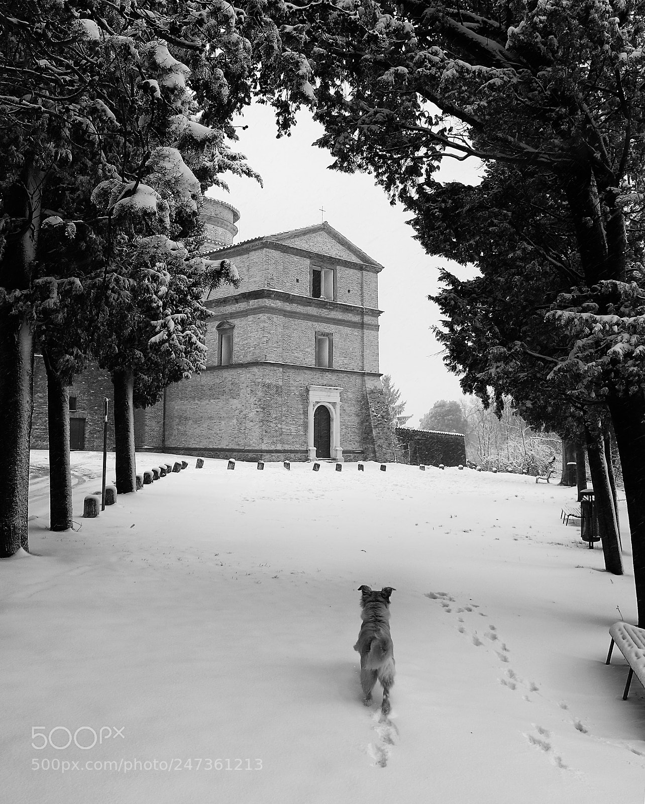 Canon EOS 6D Mark II sample photo. Il mausoleo dei duchi photography