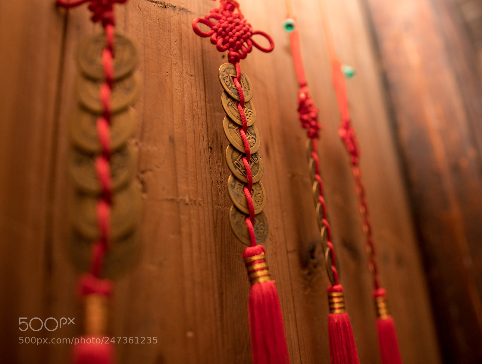 Nikon D500 sample photo. Untitled photography