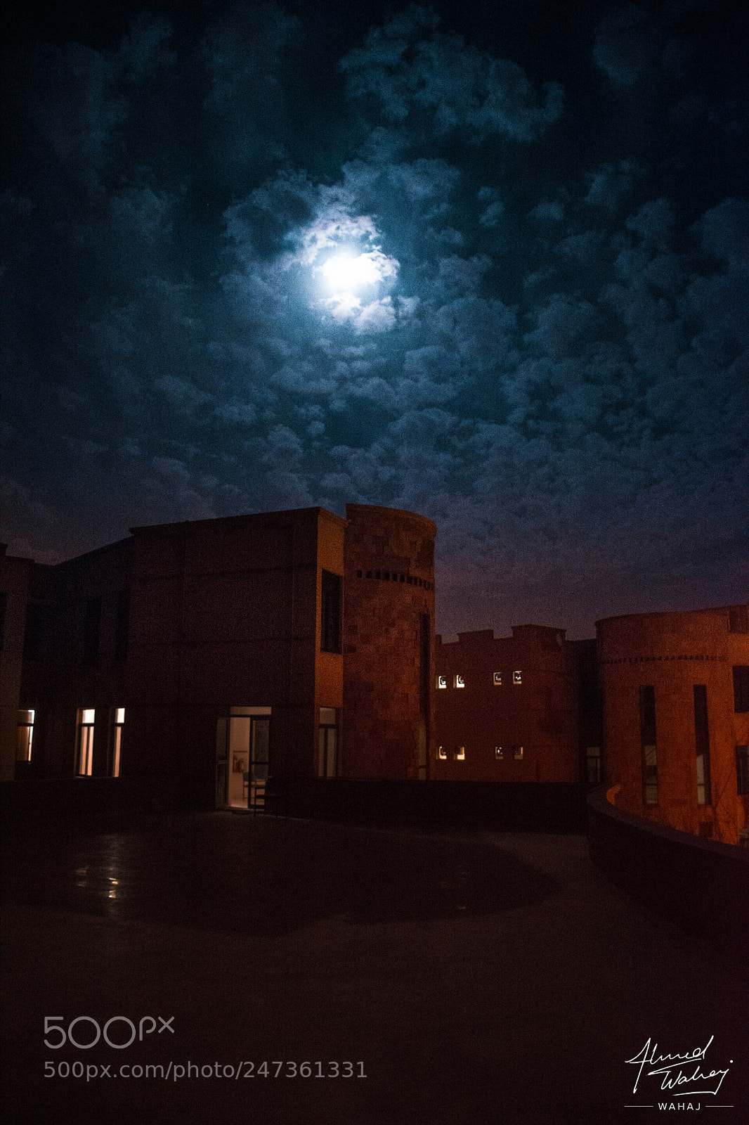 Nikon D7100 sample photo. Bringing out the textures photography