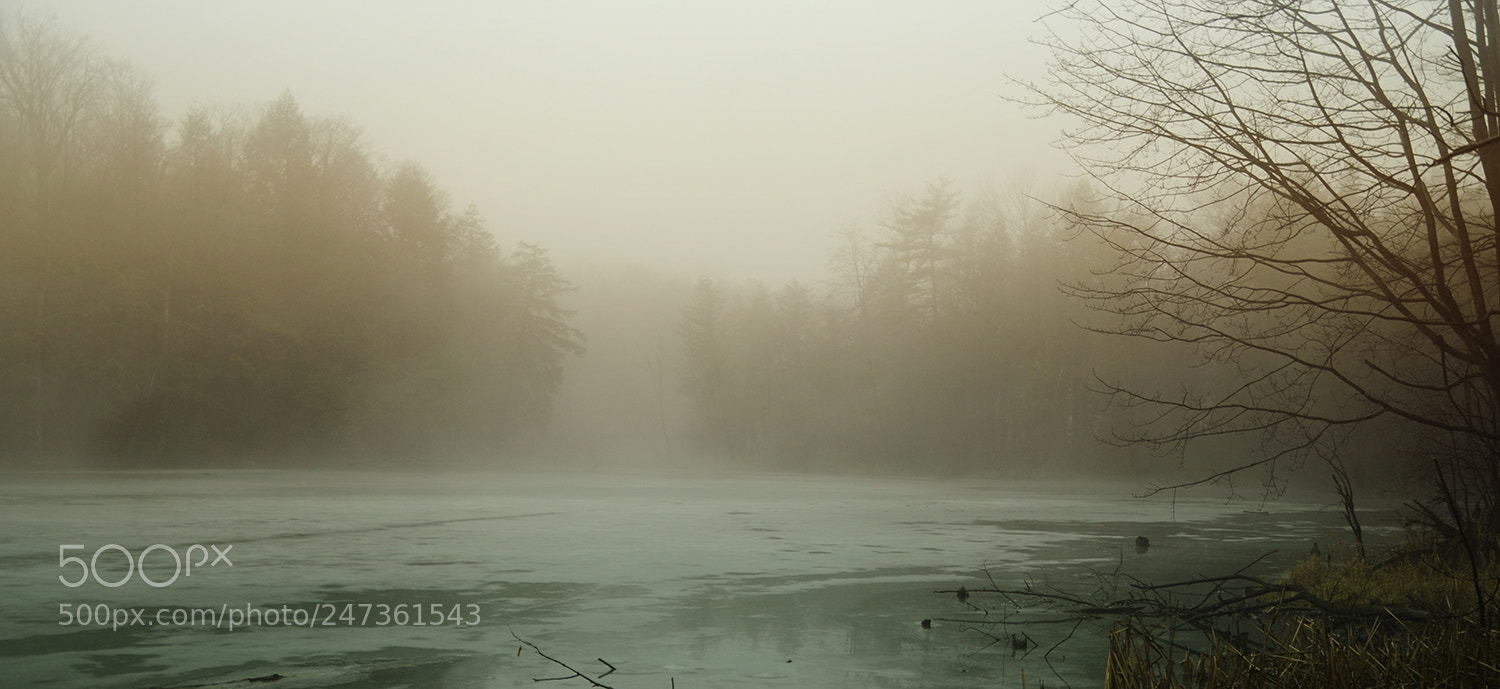 Nikon D5000 sample photo. In retrospect photography
