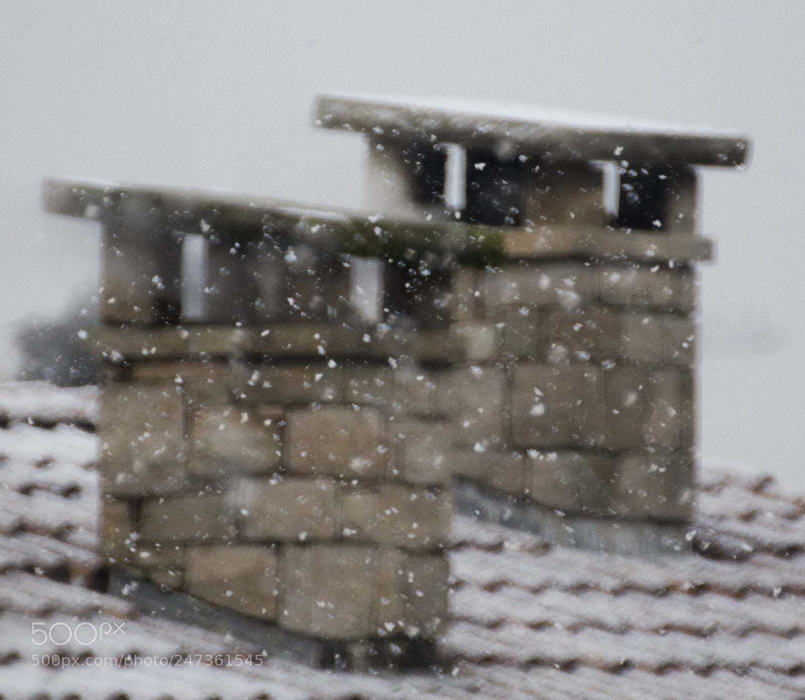 Nikon D7100 sample photo. Let it snow photography