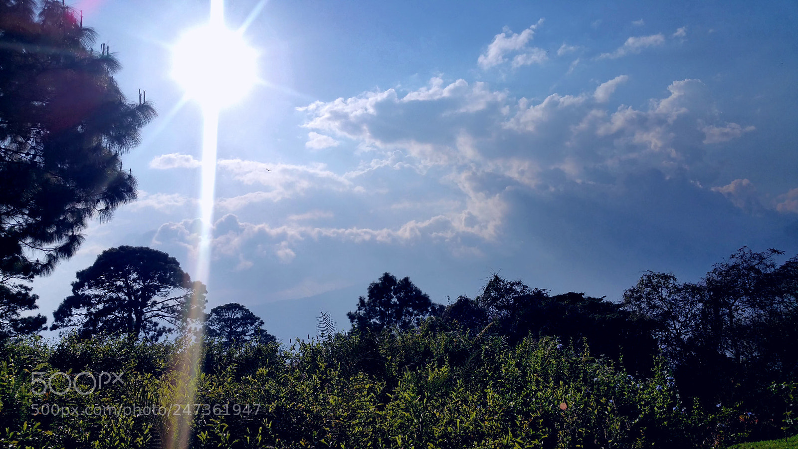 Samsung Galaxy Note4 sample photo. Untitled photography