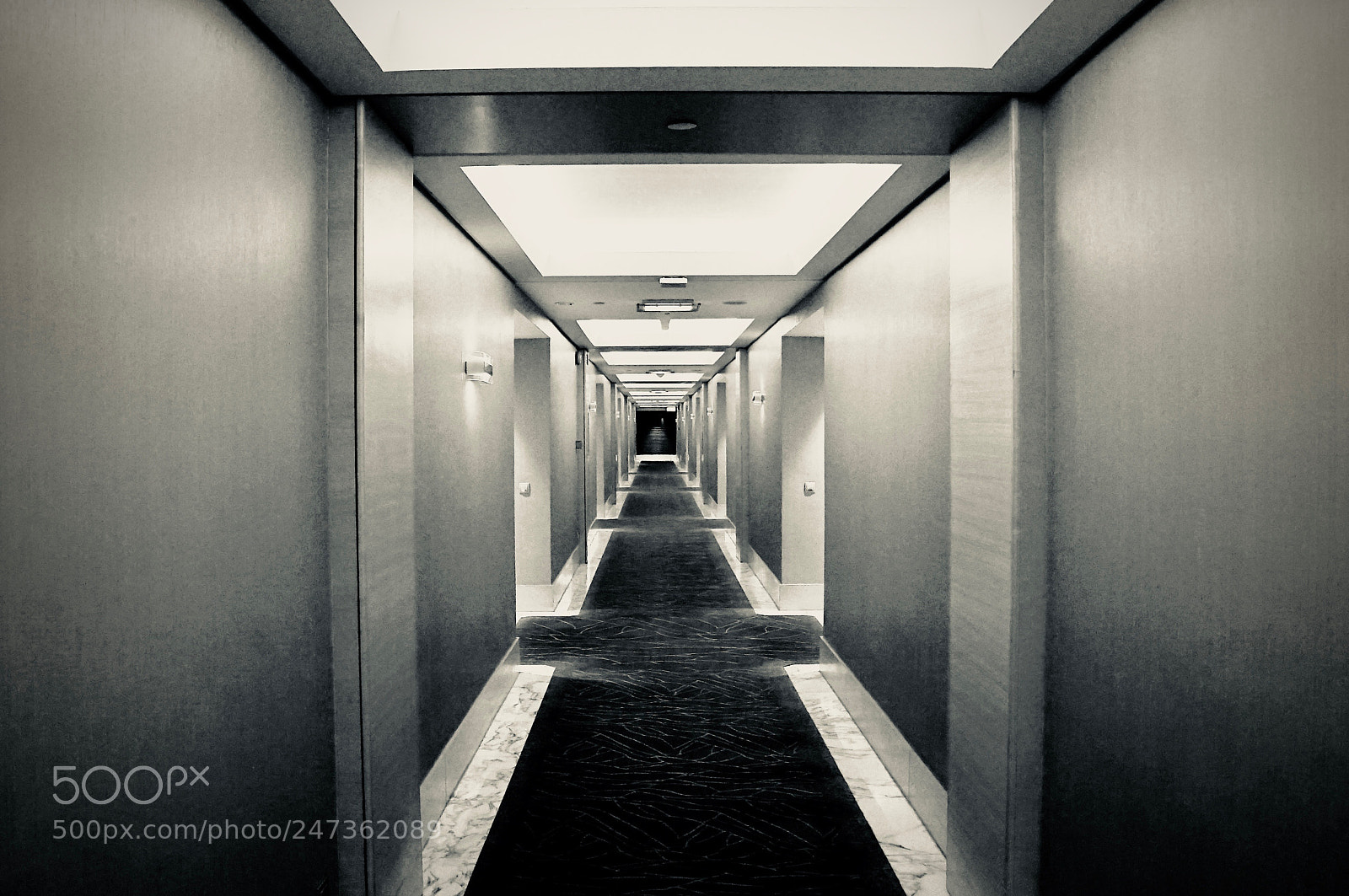 Sony a7S sample photo. Perspective photography