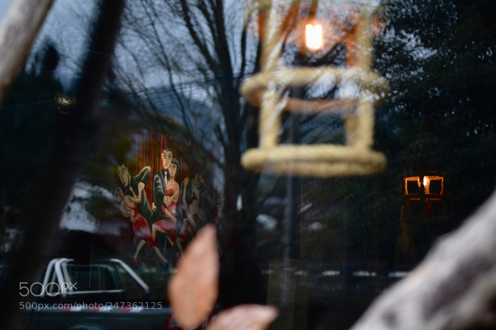 Nikon D500 sample photo. Untitled photography