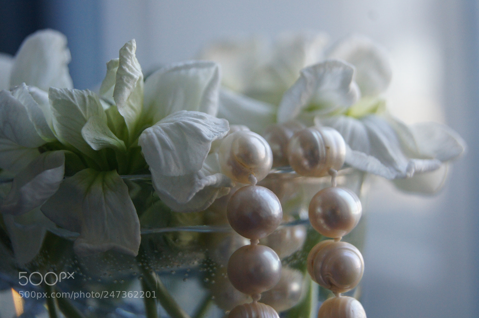 Sony Alpha DSLR-A580 sample photo. Утро женщины photography