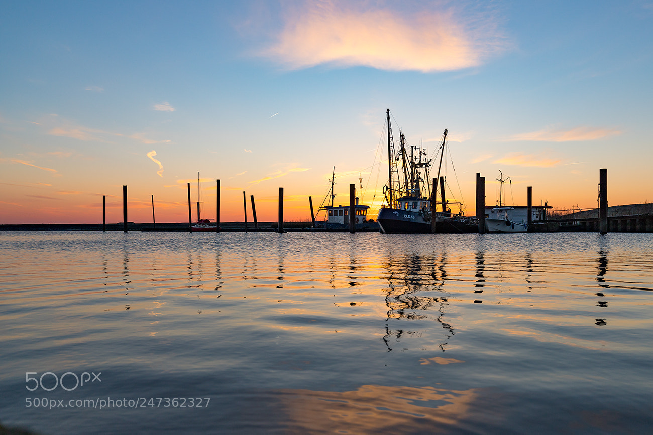 Canon EOS 6D Mark II sample photo. Hafen petkum photography