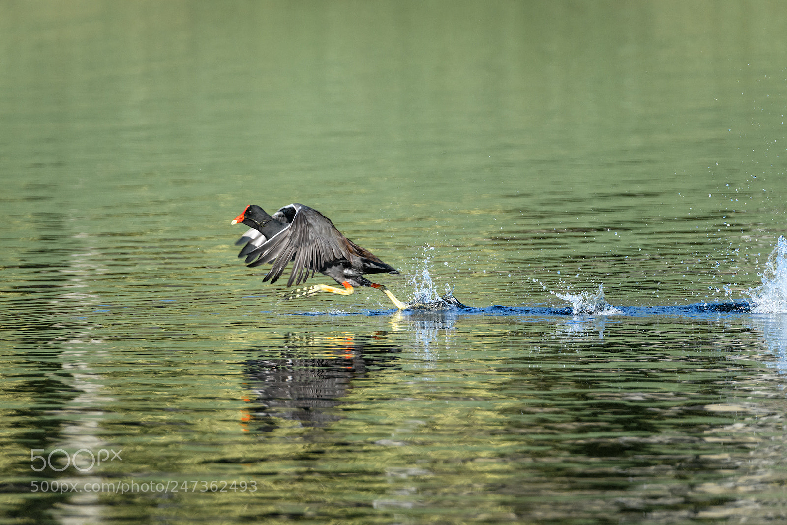 Nikon D850 sample photo. We (almost) have liftoff! photography