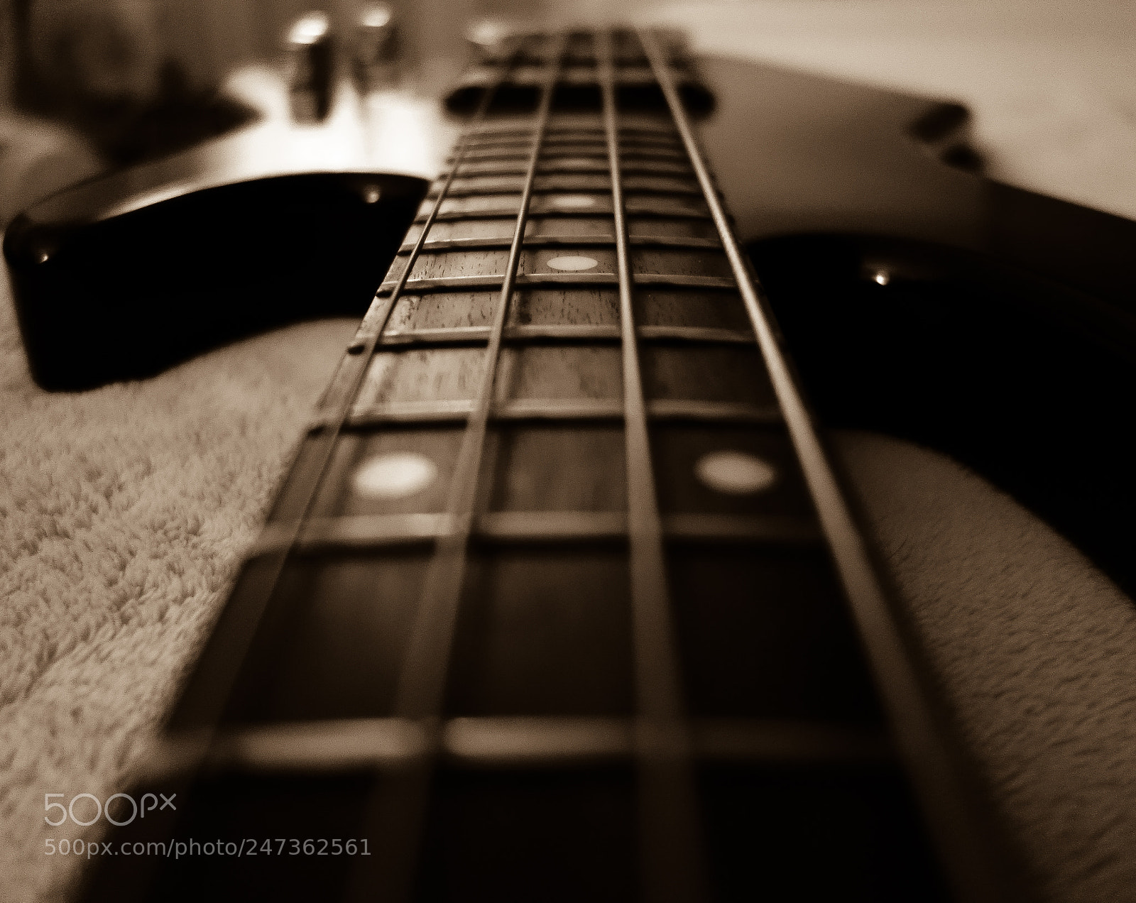 Sony Cyber-shot DSC-RX100 sample photo. Bass photography