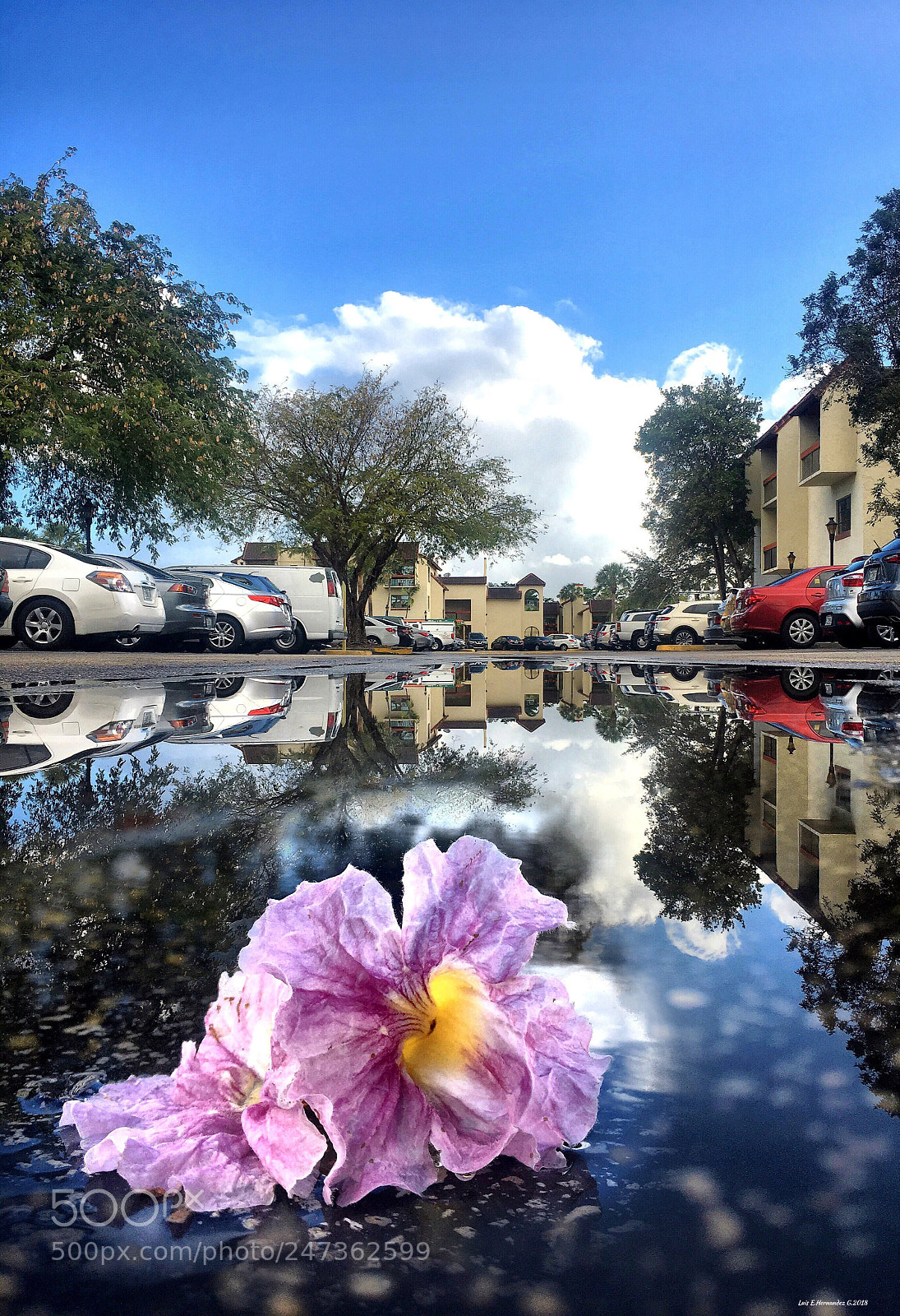 Apple iPhone 6s sample photo. Reflejo de un domingo photography