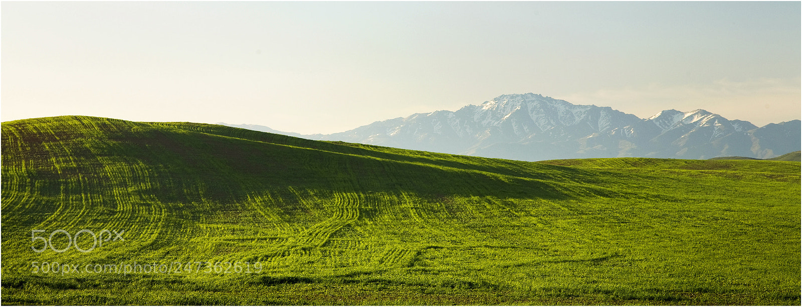 Canon EOS 5D sample photo. ***** photography