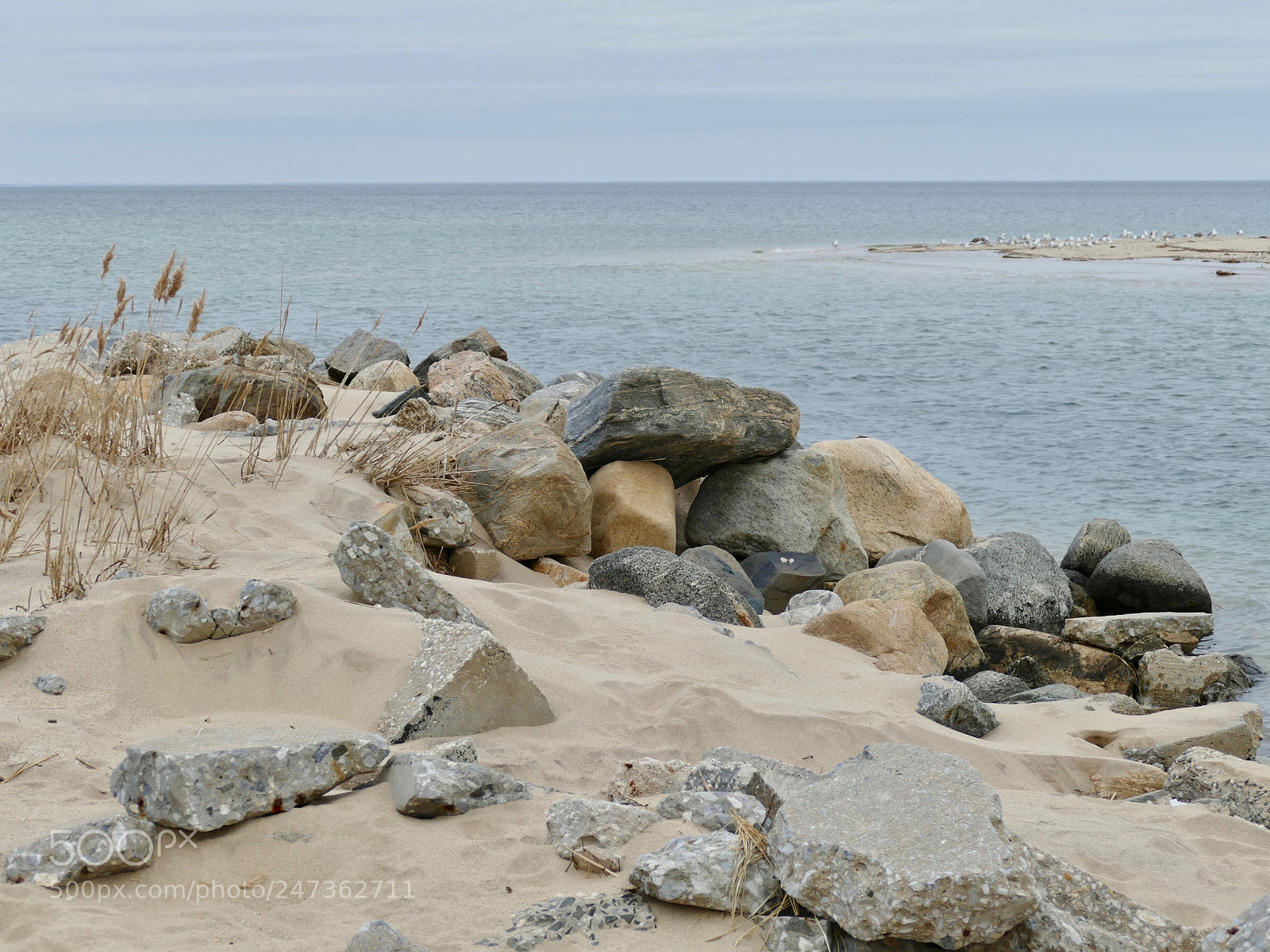 Panasonic Lumix DMC-FZ1000 sample photo. Crab meadow beach photography
