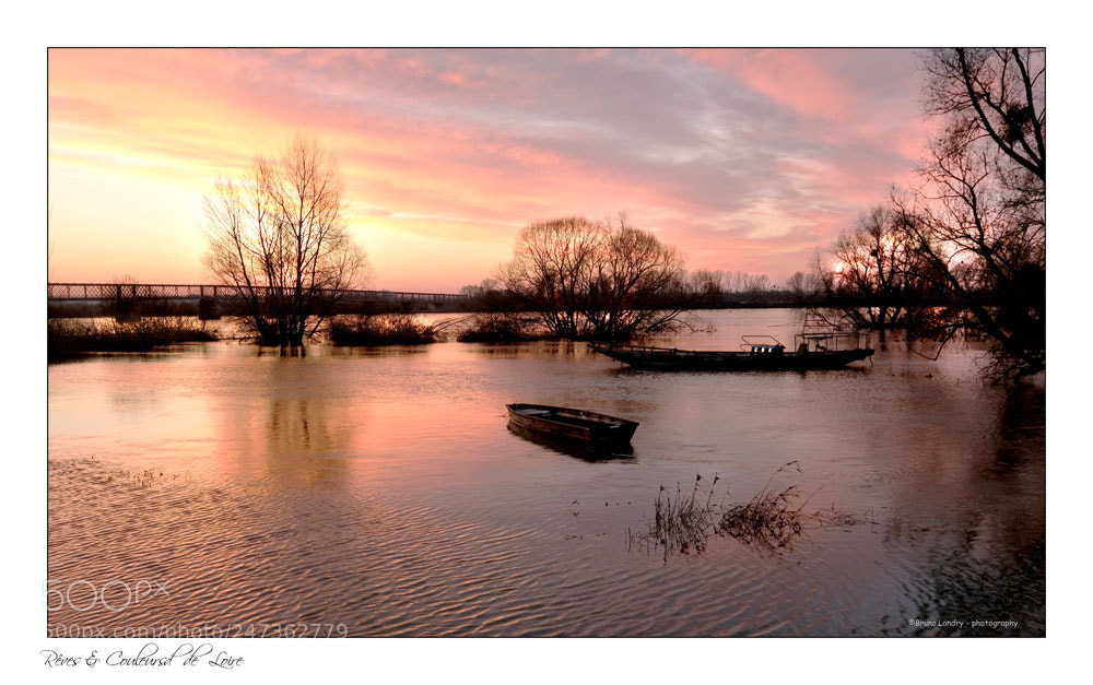 Fujifilm X-T20 sample photo. Mauves aux couleurs du photography